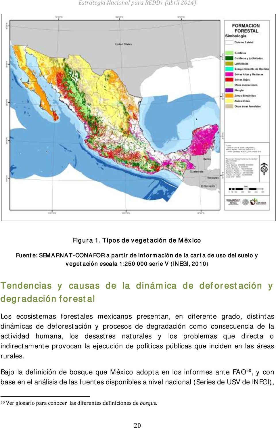 deforestación y degradación forestal Los ecosistemas forestales mexicanos presentan, en diferente grado, distintas dinámicas de deforestación y procesos de degradación como consecuencia de la
