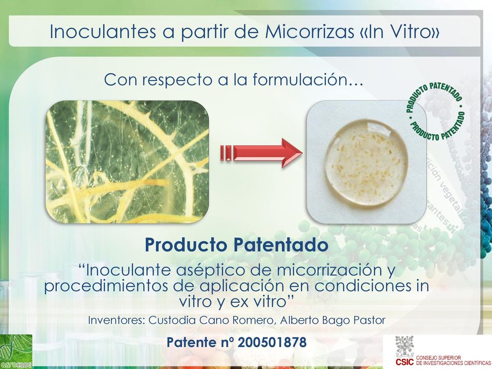 y procedimientos de aplicación en condiciones in vitro y ex vitro