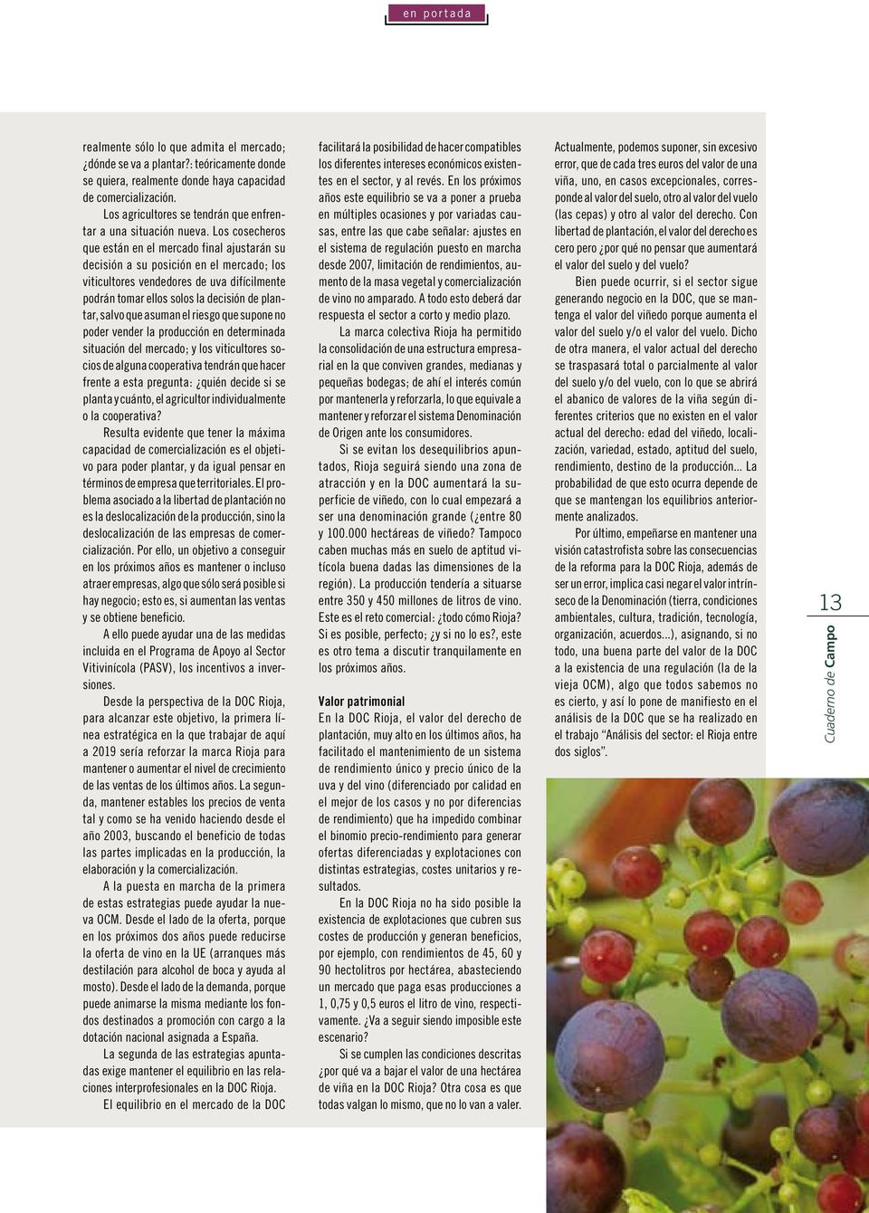 Los cosecheros que están en el mercado final ajustarán su decisión a su posición en el mercado; los viticultores vendedores de uva difícilmente podrán tomar ellos solos la decisión de plantar, salvo