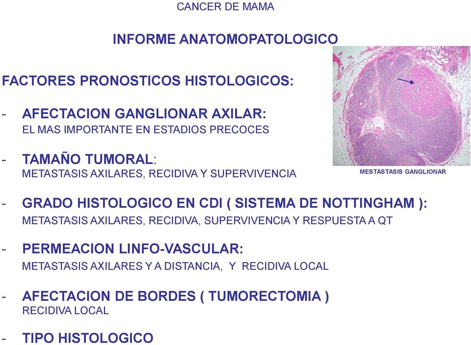 tipos histologicos de cancer de prostata pdf frunze de coacăz pentru prostatită
