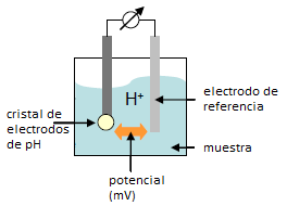 P a g e 7 Combinación de electrodos del ph Figura (2): cristal de electrodos combinados del ph Figura (3): sistema de medición del ph Un sistema de medición de ph (figura (3) consiste en una sonda de