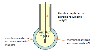 P a g e 9 Figura (5): Electrolitos comunes en solucion de llenado para combinación para cristal electrodos de referencia de ph Figura (6): principio de funcionamiento de una membrana de ph.