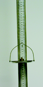 (m) (p) (cp) (r) Figura 4: Dispositivo experimental para medir constantes elásticas de muelles. Bajo el peso de un platillo (p) un muelle (m) de longitud conocida se alarga.