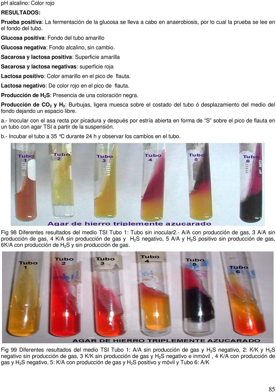 Sacarosa y lactosa positiva: Superficie amarilla Sacarosa y lactosa negativas: superficie roja Lactosa positivo: Color amarillo en el pico de flauta.