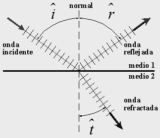 20 En el fenómeno de la reflexión se mantienen constante: La longitud de onda ( λ ), la frecuencia ( f )y la rapidez de propagación ( v ) de la onda. 1.5.