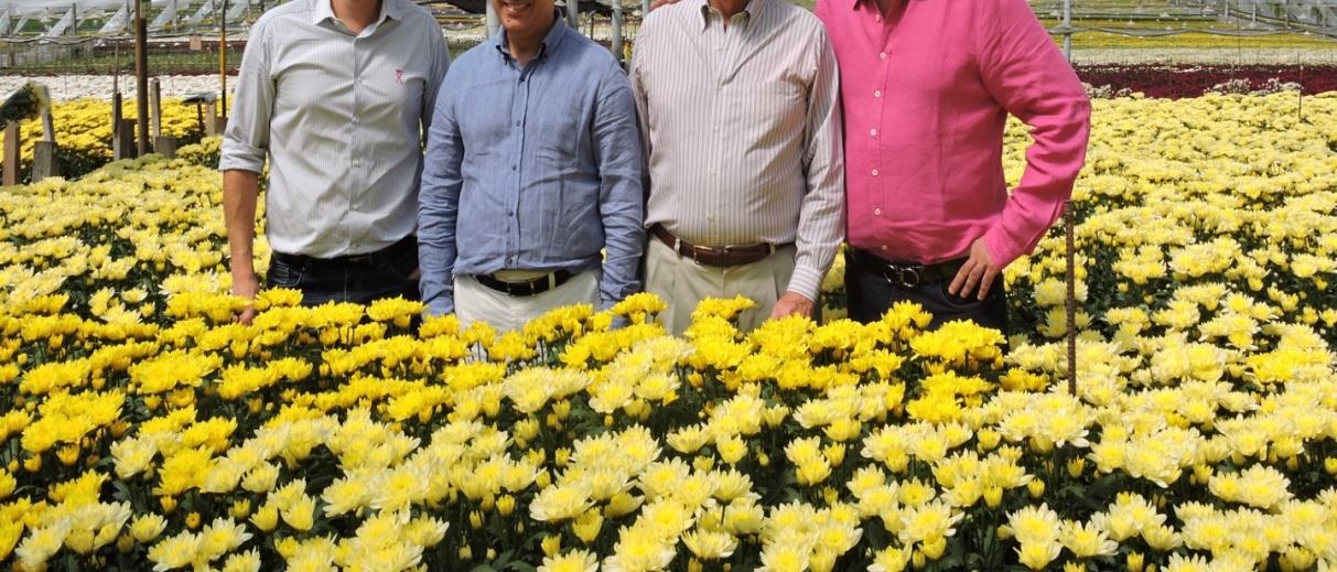 Asocolflores: La voz de la floricultura Establecida en 1973, representa alrededor del 65% de las exportaciones de Cundinamarca, Antioquia y el Centro