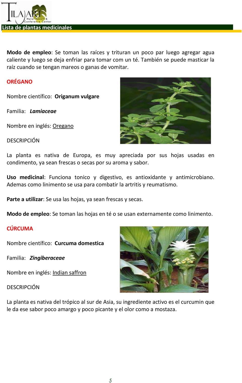 Plantas Medicinales Del Hotel Tilajari Pdf Descargar Libre