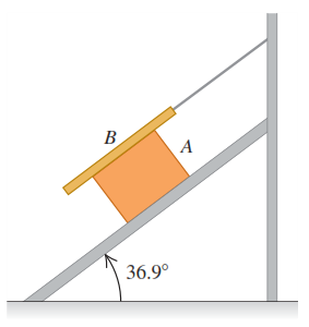 17. Un lavaventanas empuja hacia arriba su cepillo sobre una ventana vertical, con rapidez constante, aplicando una fuerza F como se muestra en la figura.