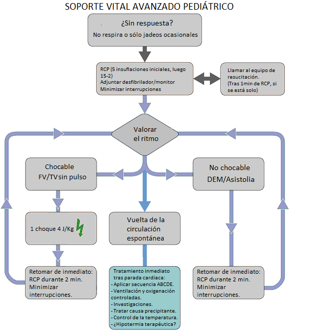 Figura 2. Tomado de la European Resucitation Council Guidelines for Resucitation 2010.