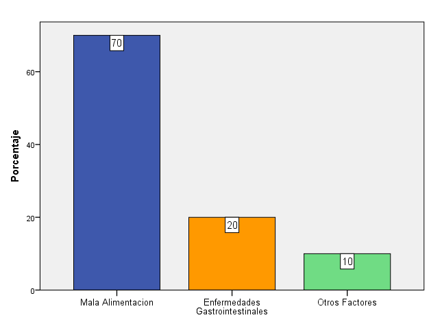 Gráfico 10. Posibles factores causales de la anemia ferropénica Fuente: Eras, M (2014).