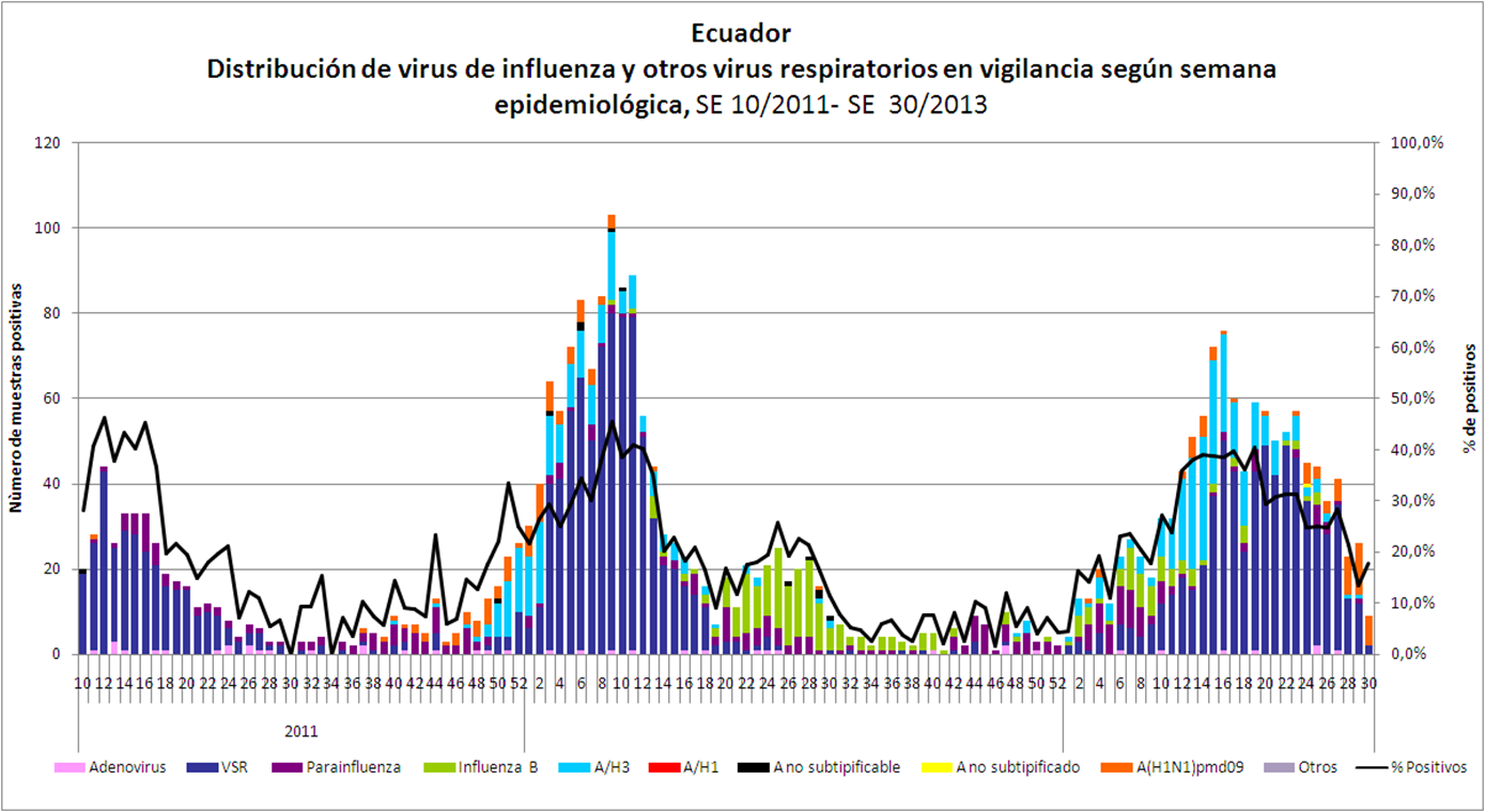Situación epidemiológica en el Ecuador (SE 30): Circulación de virus respiratorios: En las últimas semanas la circulación de VSR ha disminuido, existe circulación esporádica de Adenovirus y