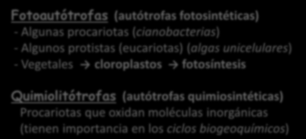 FUNCIÓN DE NUTRICIÓN Clasificación de las células, según la forma de obtener energía: AUTÓTROFAS Fotoautótrofas (autótrofas fotosintéticas) - Algunas procariotas (cianobacterias) - Algunos protistas