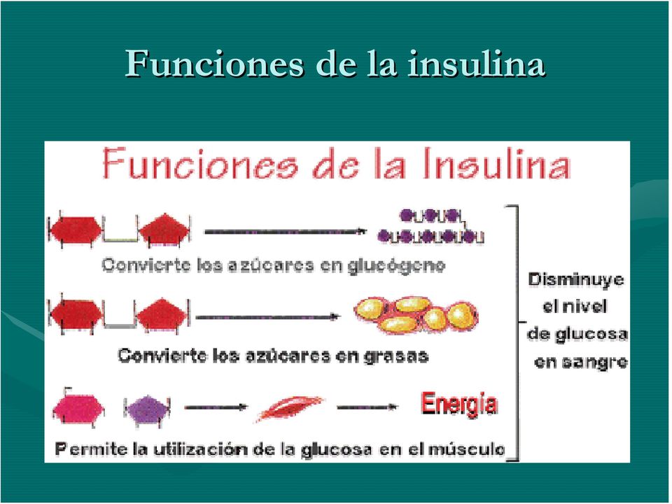 insulina