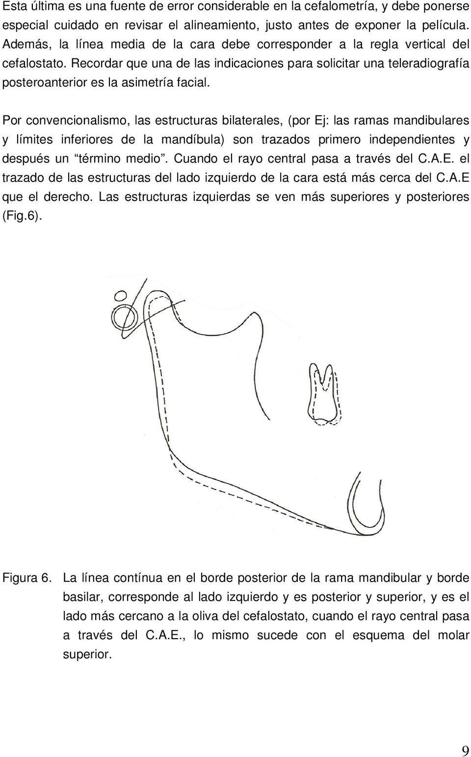 Por convencionalismo, las estructuras bilaterales, (por Ej: las ramas mandibulares y límites inferiores de la mandíbula) son trazados primero independientes y después un término medio.