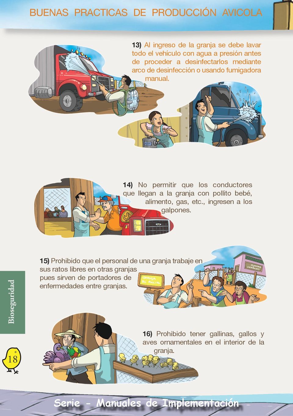 14) No permitir que los conductores que llegan a la granja con pollito bebé, alimento, gas, etc., ingresen a los galpones.