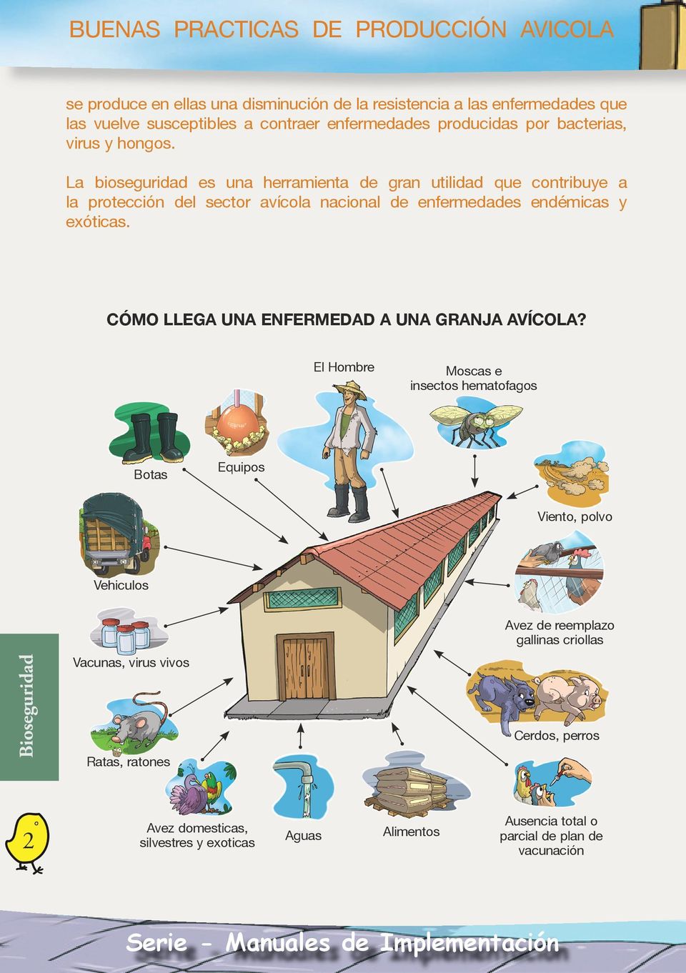 La bioseguridad es una herramienta de gran utilidad que contribuye a la protección del sector avícola nacional de enfermedades endémicas y exóticas.