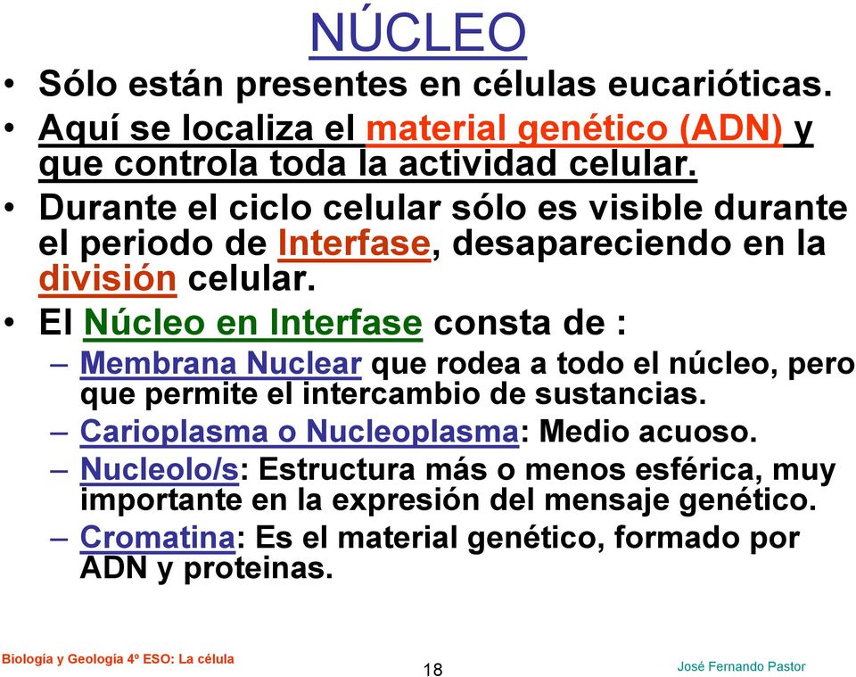 El Núcleo en Interfase consta de : Membrana Nuclear que rodea a todo el núcleo, pero que permite el intercambio de sustancias.
