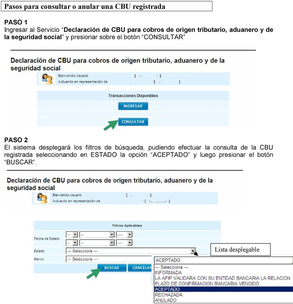 PASO 2 El sistema desplegará los filtros de búsqueda, pudiendo efectuar la consulta de la CBU