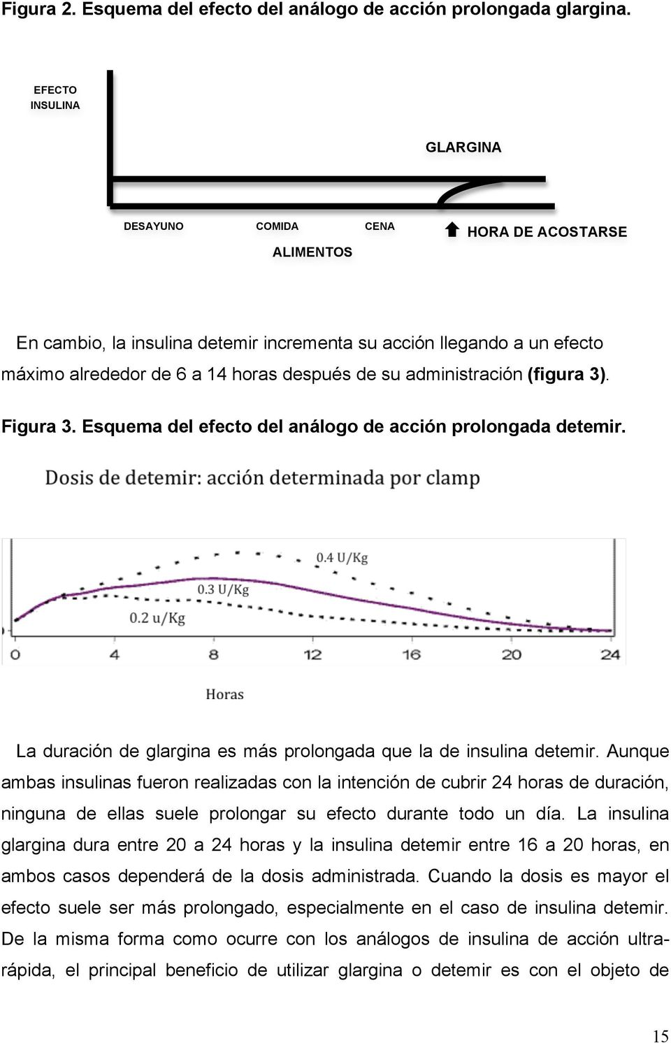 administración (figura 3). Figura 3. Esquema del efecto del análogo de acción prolongada detemir. La duración de glargina es más prolongada que la de insulina detemir.