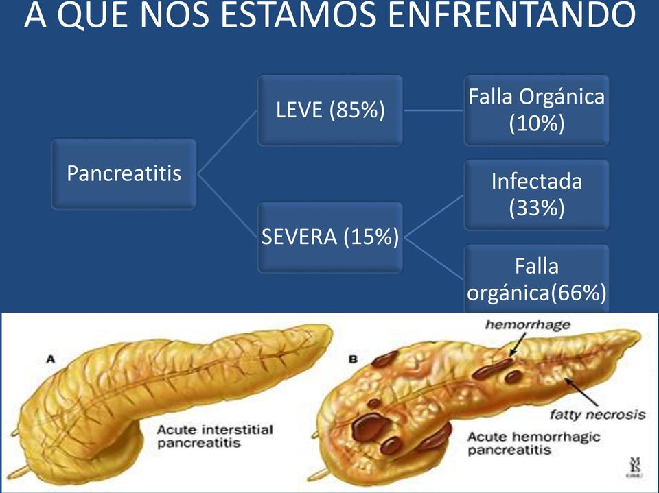 (15%) Falla Orgánica (10%)
