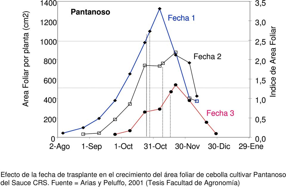 30-Dic 29-Ene Efecto de la fecha de trasplante en el crecimiento del área foliar de cebolla