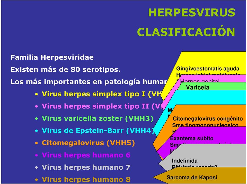 Virus herpes humano 6 Virus herpes humano 7 Virus herpes humano 8 Gingivoestomatis aguda Herpes labial recidivante Blefaritis Herpes genital Eczema Varicela herpético Panadizo Herpes neonatal