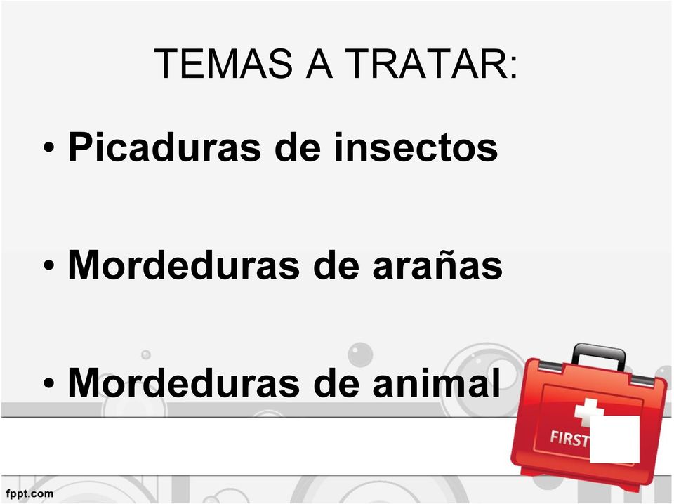 insectos Mordeduras