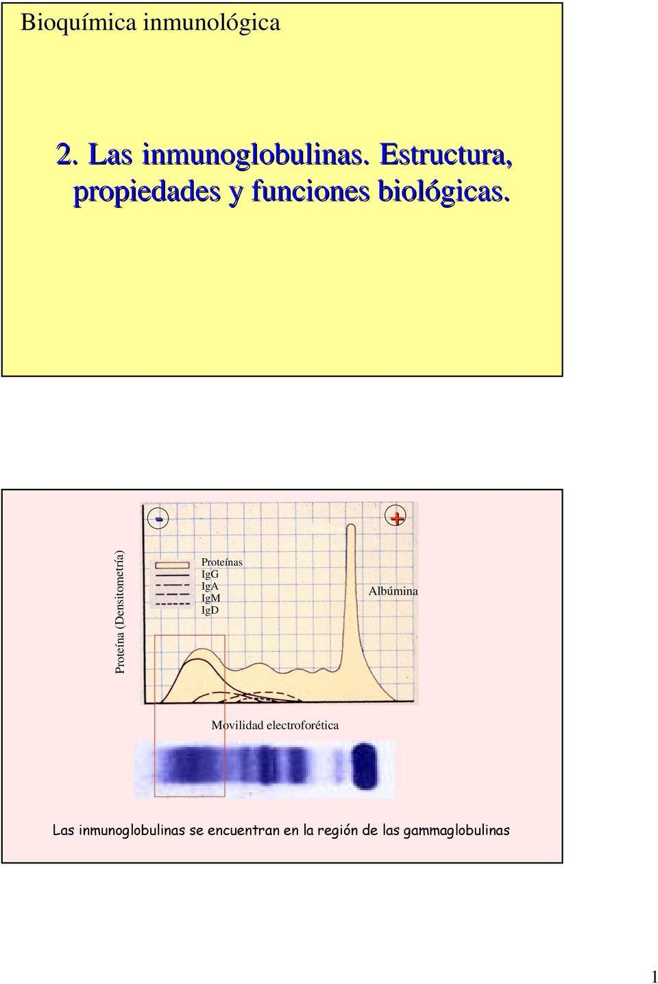- + Proteína (Densitometría) Proteínas IgG IgA IgM IgD Albúmina