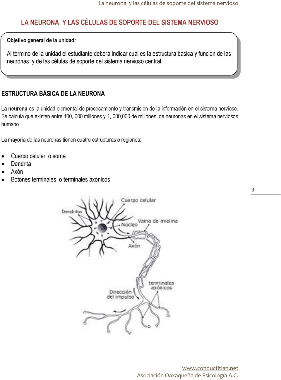 ESTRUCTURA BÁSICA DE LA NEURONA La neurona es la unidad elemental de procesamiento y transmisión de la información en el sistema nervioso.