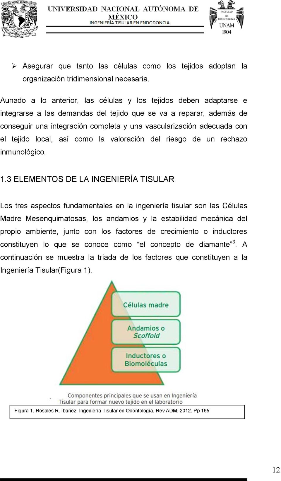 Universidad Nacional Autonoma De Mexico Ingenieria Tisular En