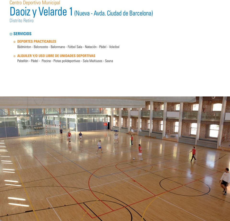 Baloncesto - Balonmano - Fútbol Sala - Natación - Pádel - Voleibol