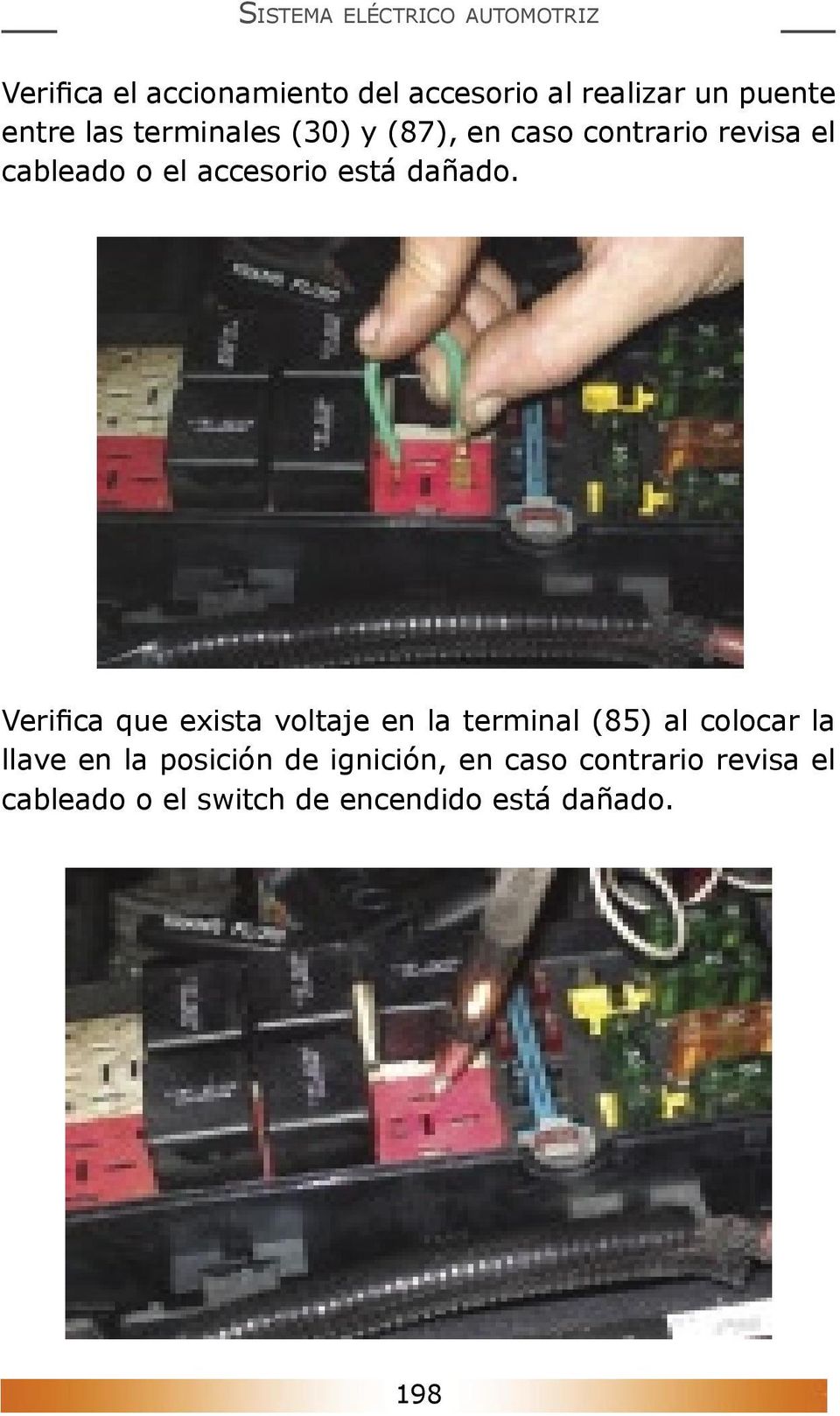 Verifica que exista voltaje en la terminal (85) al colocar la llave en la posición