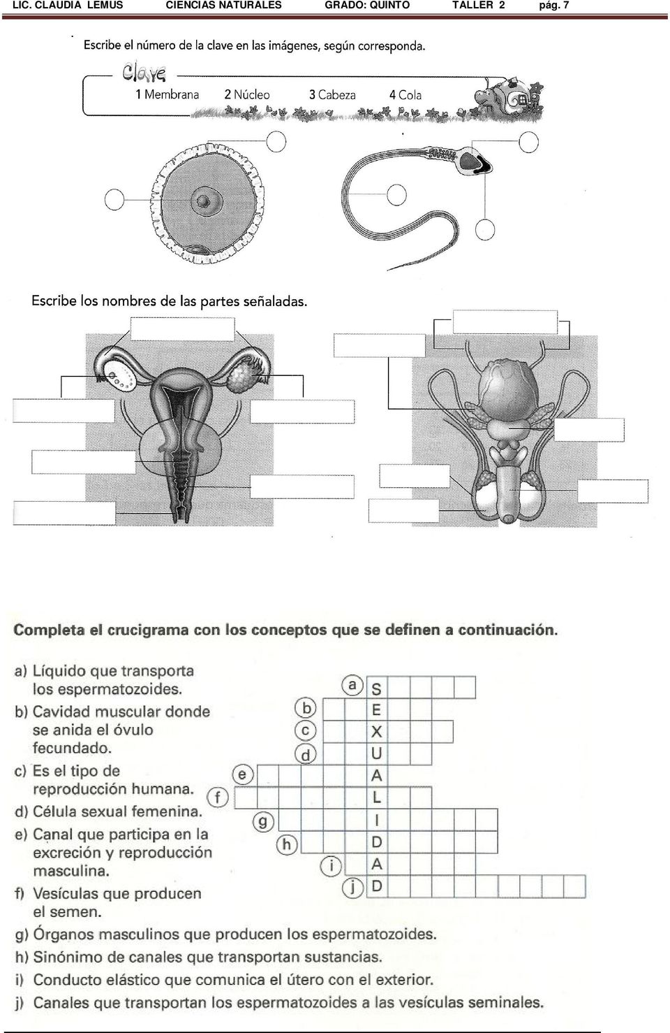 Resultado de imagen de talleres sobre reproduccion humana