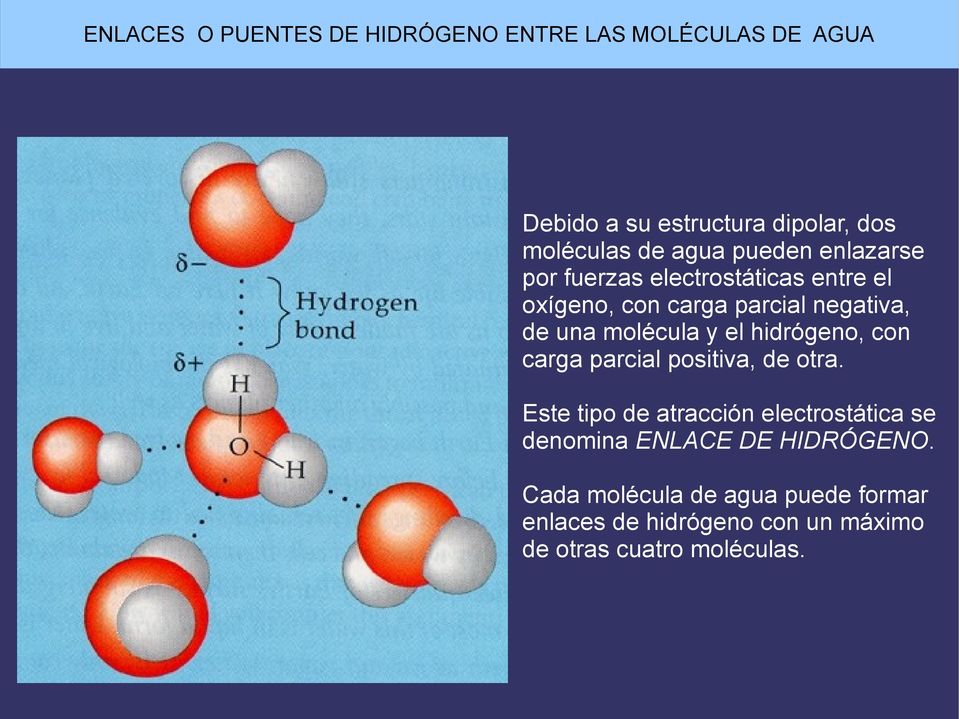 molécula y el hidrógeno, con carga parcial positiva, de otra.