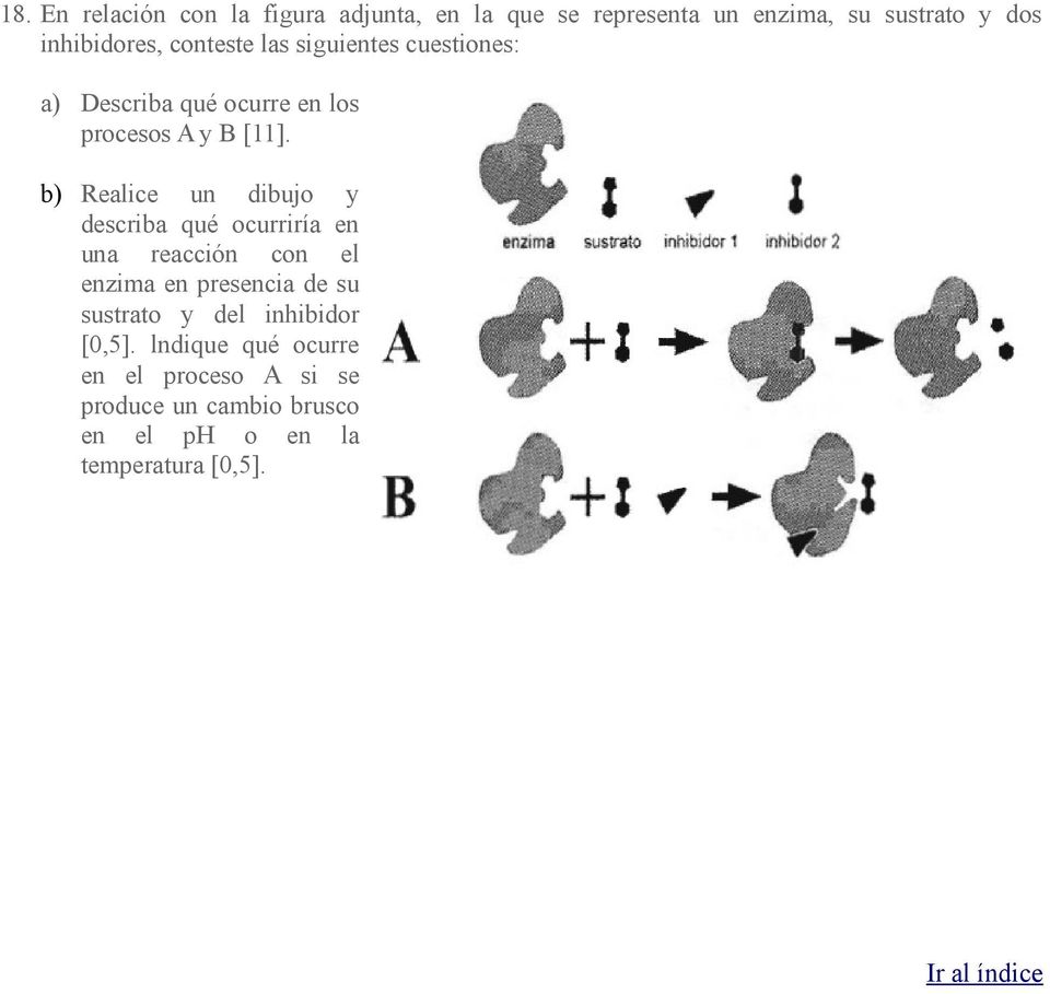 b) Realice un dibujo y describa qué ocurriría en una reacción con el enzima en presencia de su sustrato y