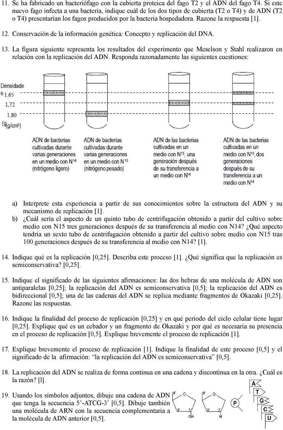 Razone la respuesta [1]. 12. Conservación de la información genética: Concepto y replicación del DNA. 13.