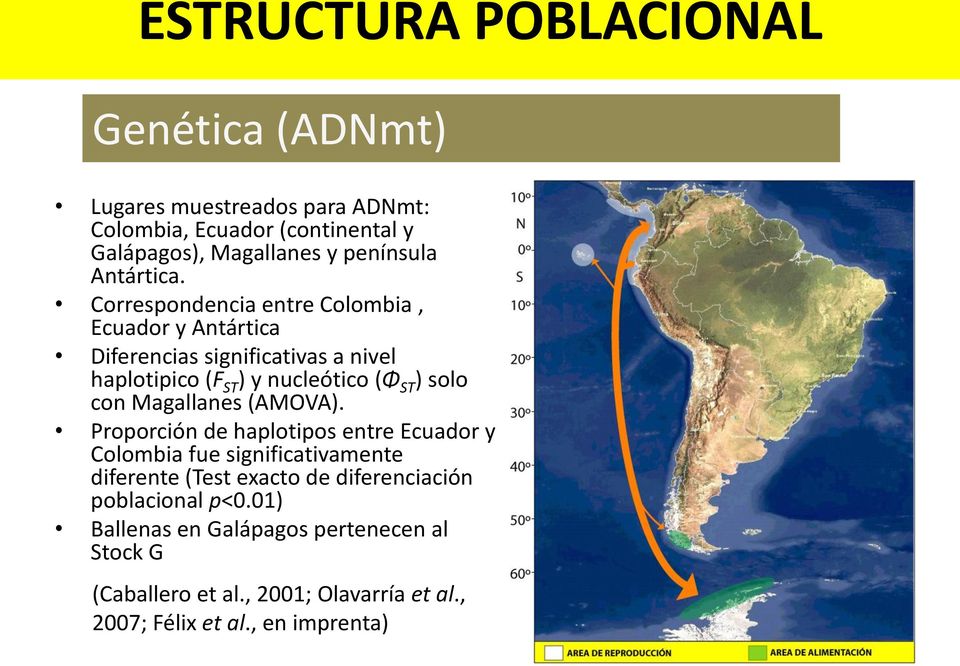 Correspondencia entre Colombia, Ecuador y Antártica Diferencias significativas a nivel haplotipico (F ST ) y nucleótico (Φ ST ) solo con
