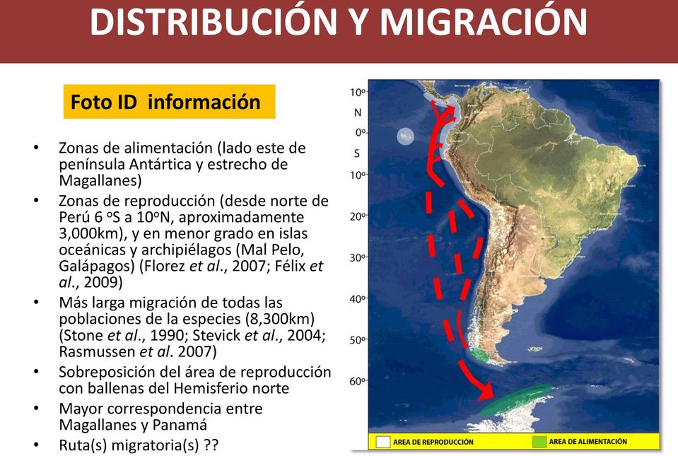 , 2007; Félix et al., 2009) Más larga migración de todas las poblaciones de la especies (8,300km) (Stone et al., 1990; Stevick et al.