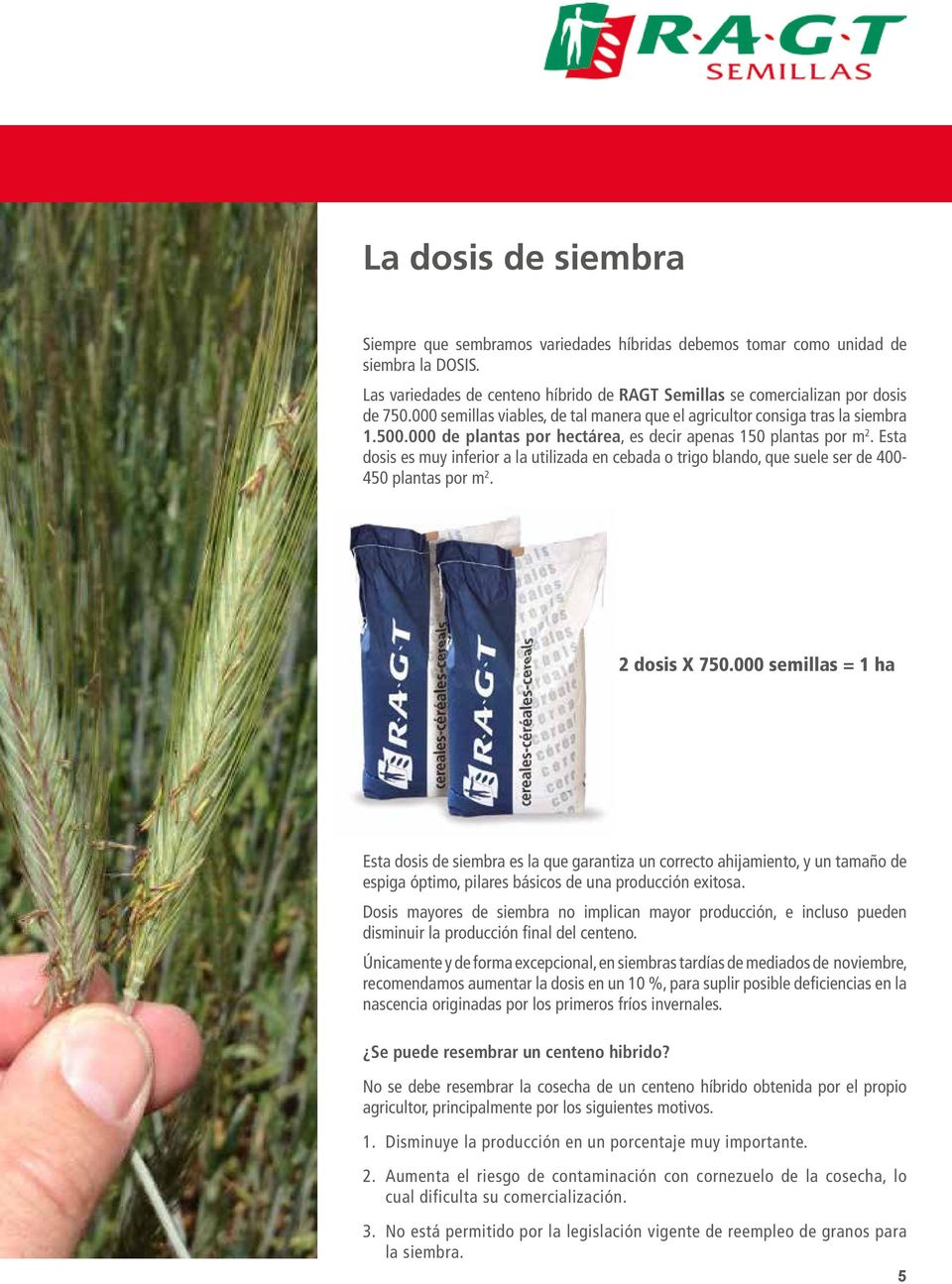 Esta dosis es muy inferior a la utilizada en cebada o trigo blando, que suele ser de 400-450 plantas por m 2. 2 dosis X 750.