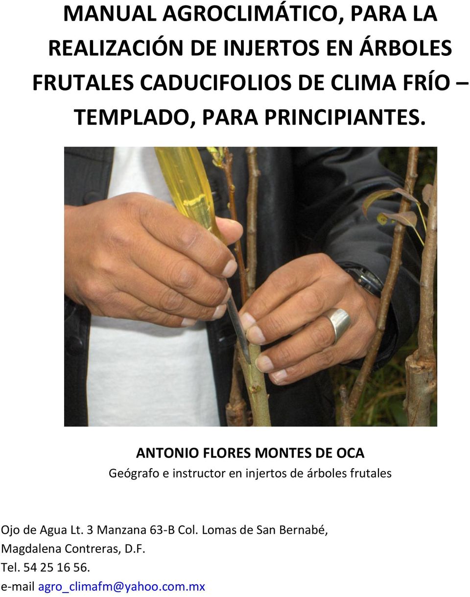 ANTONIO FLORES MONTES DE OCA Geógrafo e instructor en injertos de árboles frutales Ojo