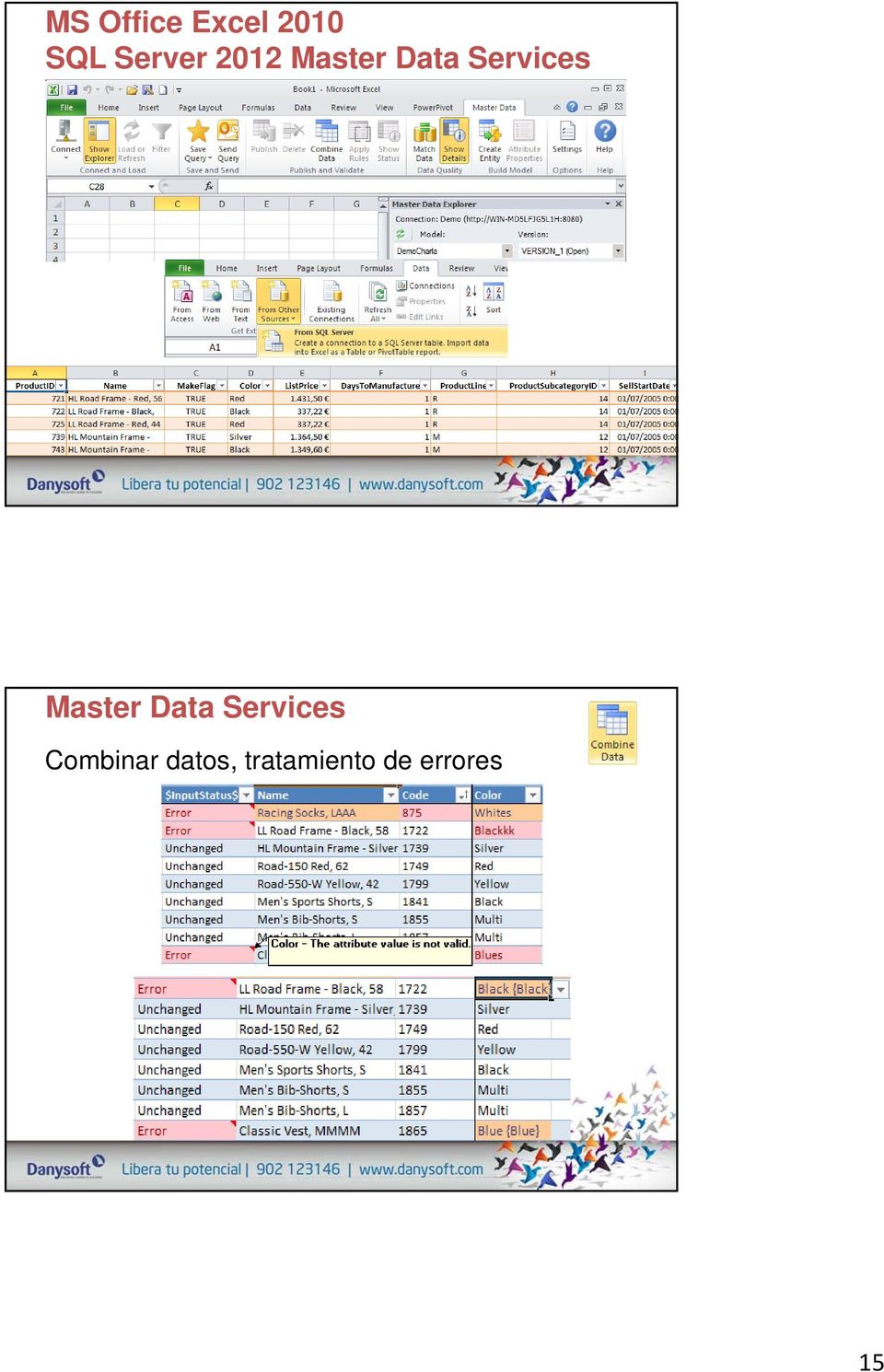 Services Master Data Services