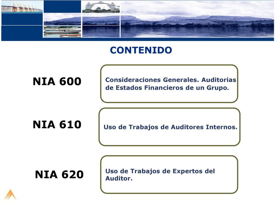NIA 610 Uso de Trabajos de Auditores Internos.
