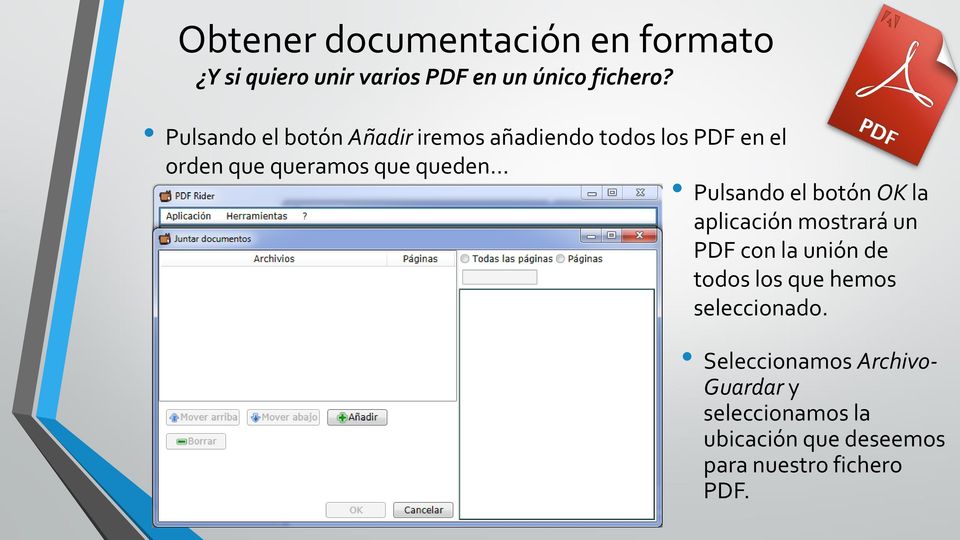 Pulsando el botón OK la aplicación mostrará un PDF con la unión de todos los que hemos
