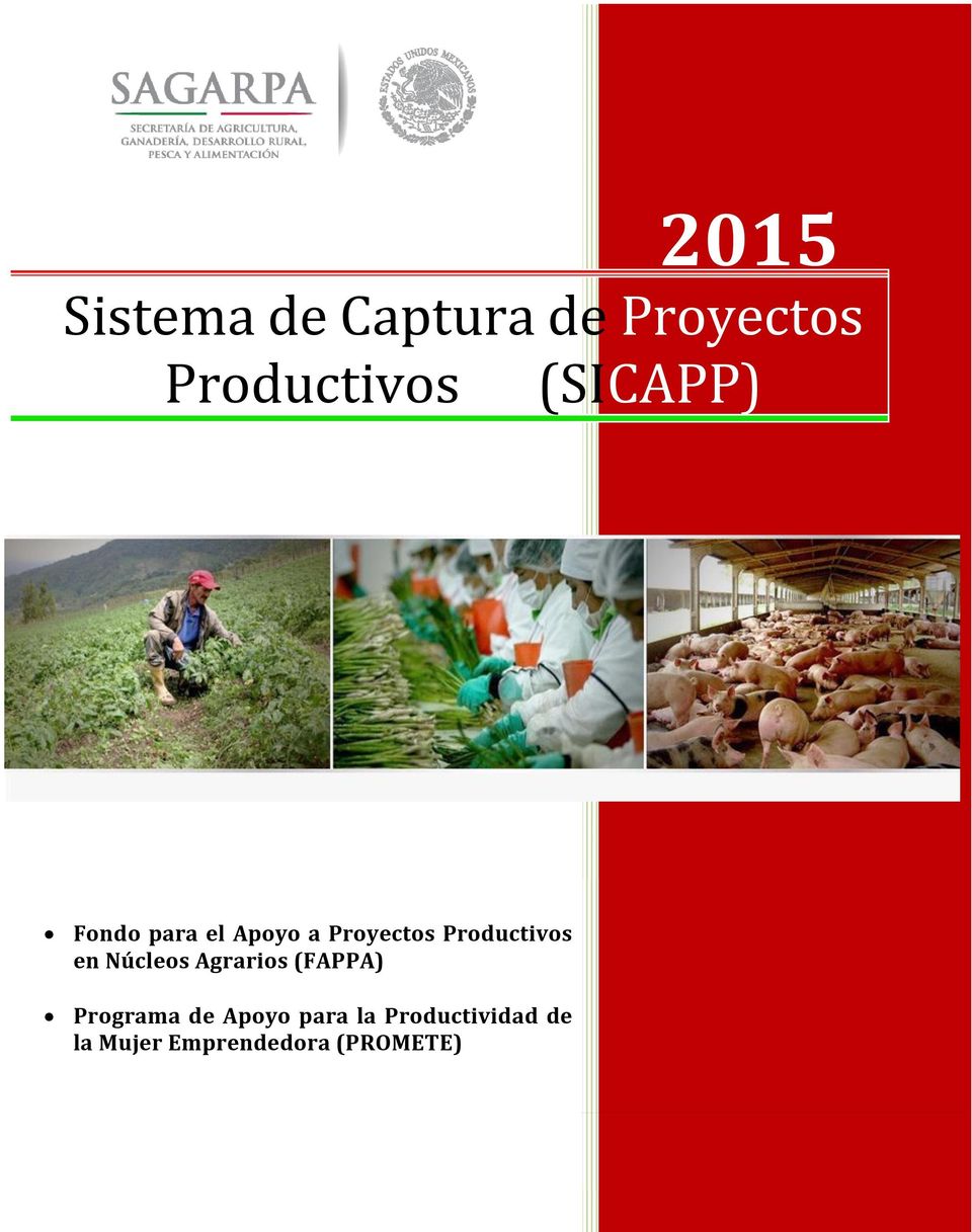 Productivos en Núcleos Agrarios (FAPPA) Programa