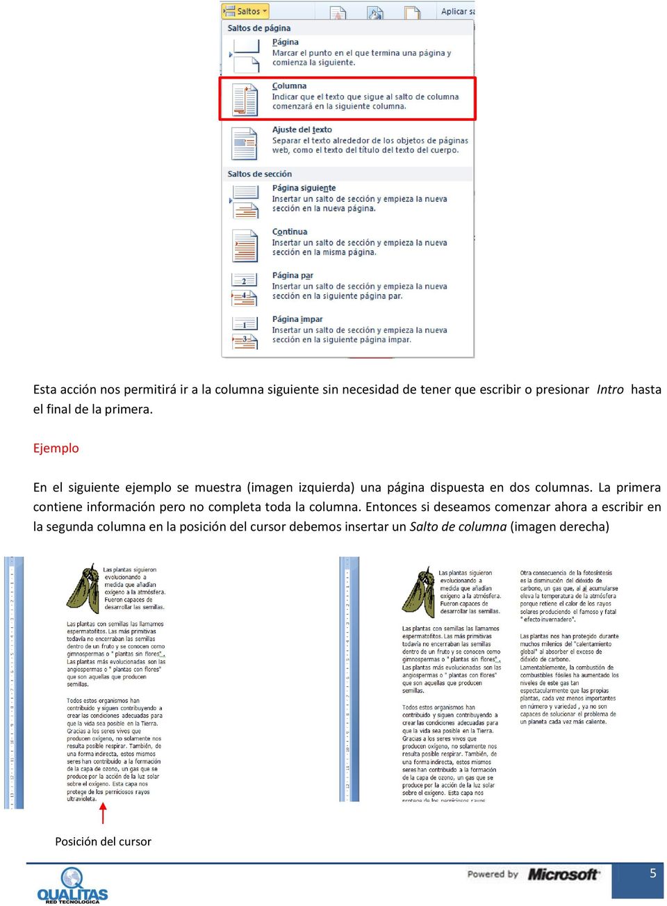 Ejemplo En el siguiente ejemplo se muestra (imagen izquierda) una página dispuesta en dos columnas.