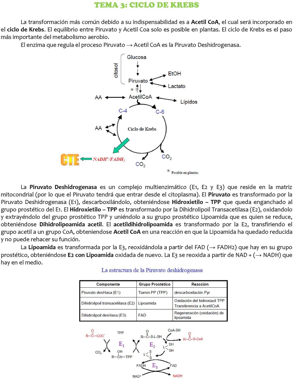 El enzima que regula el proceso Piruvato Acetil CoA es la Piruvato Deshidrogenasa.