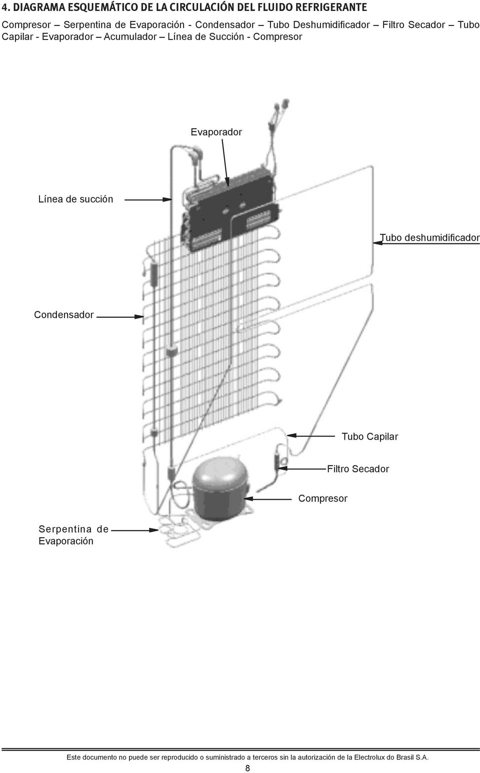 Evaporador Acumulador Línea de Succión - Compresor Evaporador Línea de succión Tubo