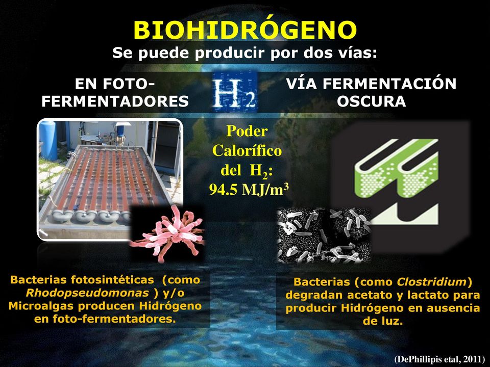 5 MJ/m 3 Bacterias fotosintéticas (como Rhodopseudomonas ) y/o Microalgas producen