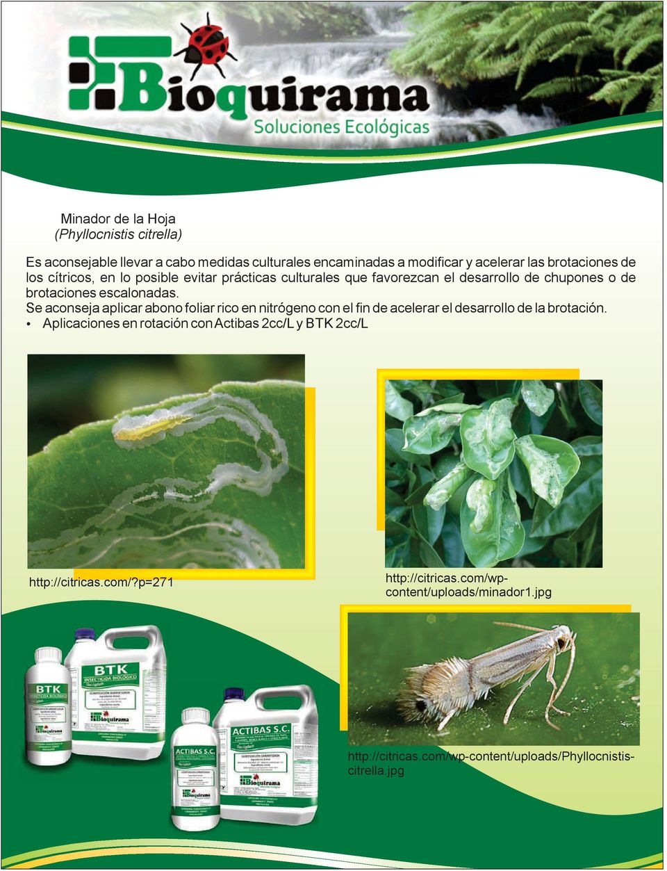 Se aconseja aplicar abono foliar rico en nitrógeno con el fin de acelerar el desarrollo de la brotación.