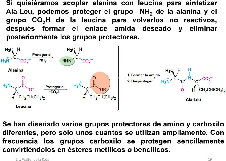 Se han diseñado varios grupos protectores de amino y carboxilo diferentes, pero sólo unos cuantos se utilizan ampliamente.